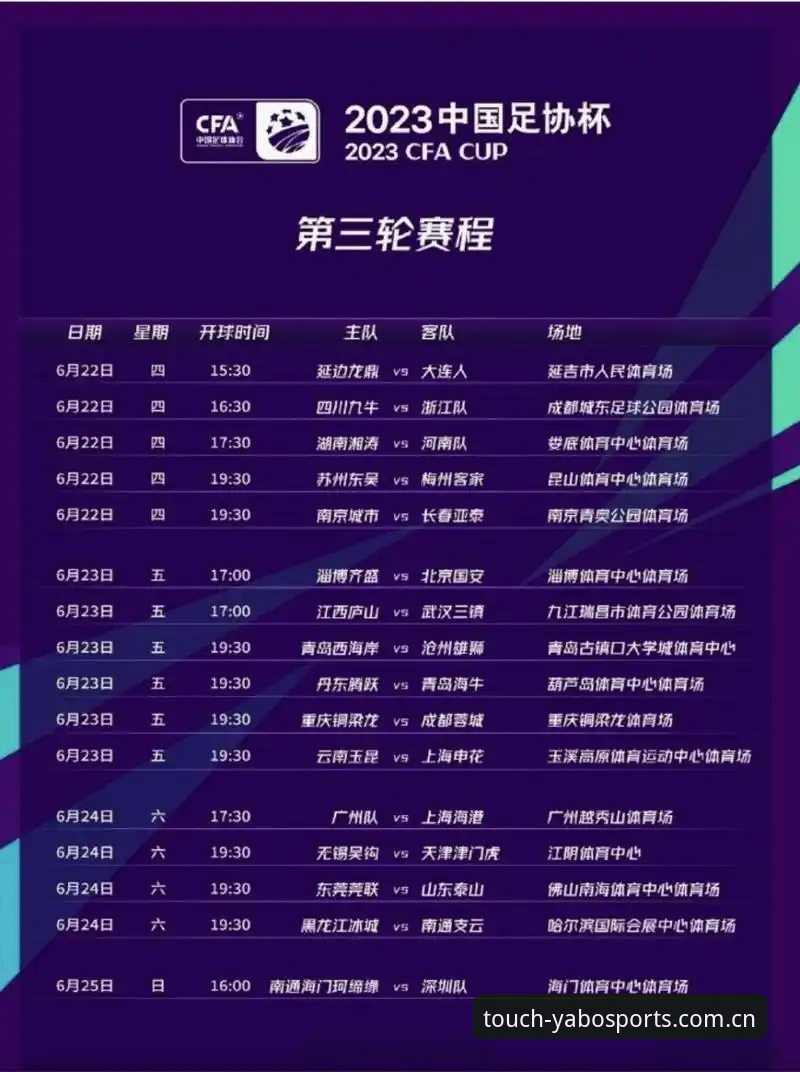 中国足协第三批禁足名单深度解析：Yabo体育用户观赛指南